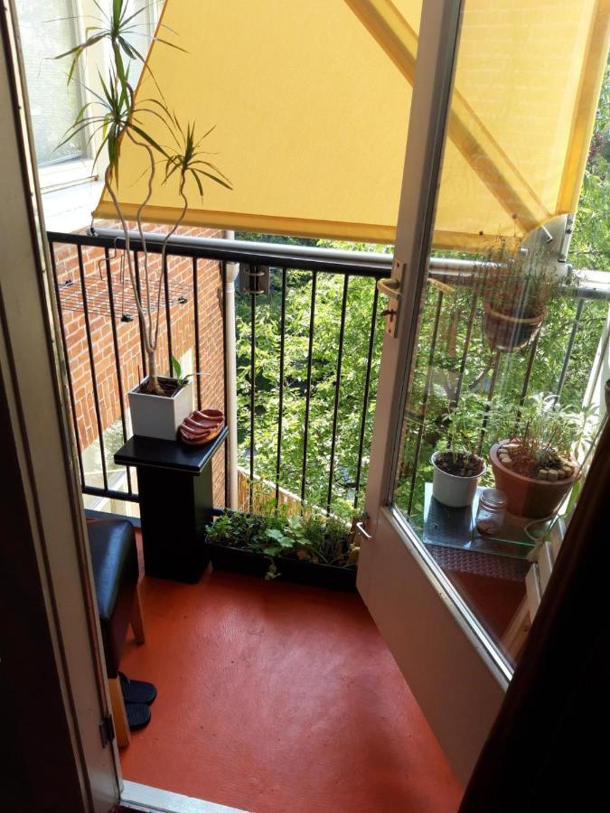 Homey Budget Bedroom アムステルダム エクステリア 写真